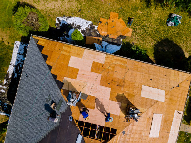 Best Roof Repair Services  in Clinton, IL