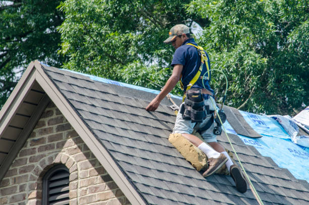 Best Metal Roofing Contractor  in Clinton, IL